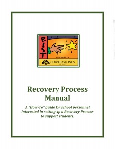 Recovery Process Manual