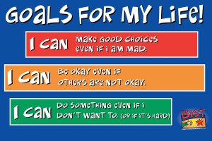 Goals For Life Classic